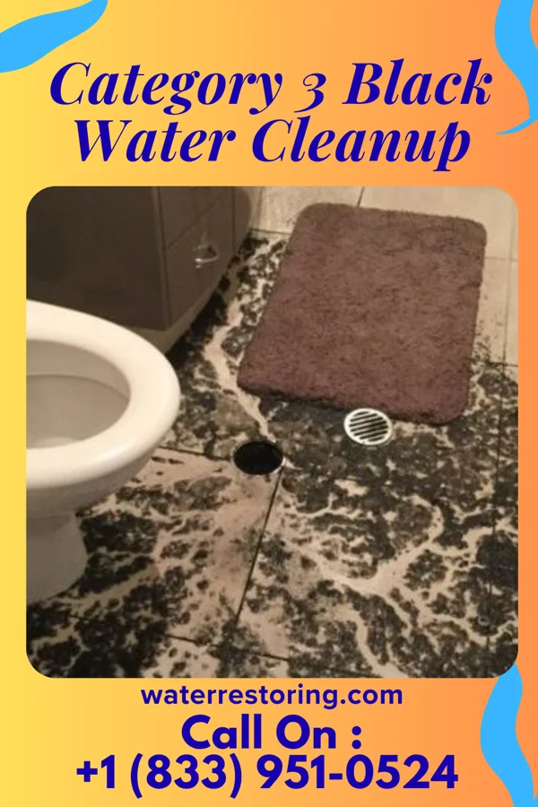 Category 3 Black Water Cleanup in Red Bank, SC