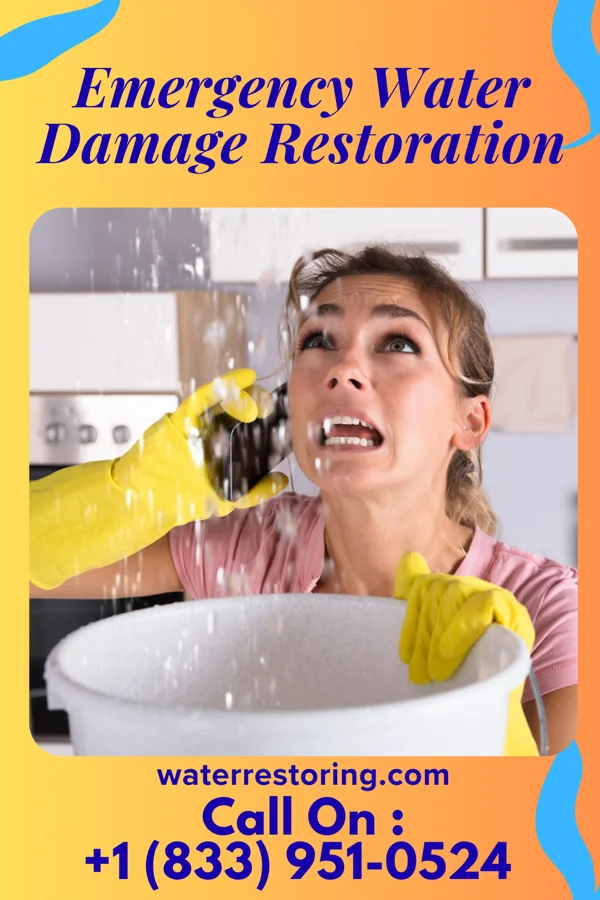 Emergency Water Damage Restoration in Red Bank, SC